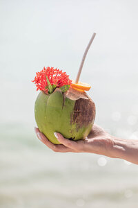 Fresh coconut drink garnished with tropical flowers on a sunny beach