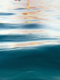 IMG_4238