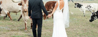 denver-wedding-photographer-86