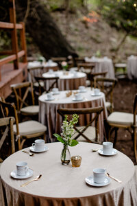 austin-wedding-rentals-tea-cups-24