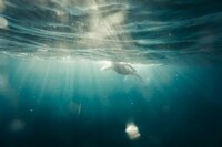 silas-baisch-QDWVi0dd5ZE-unsplash