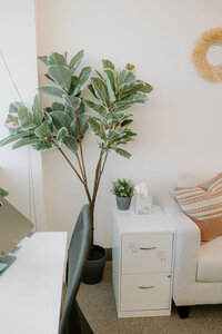 close up of office plant between a loveseat and desk and chair.