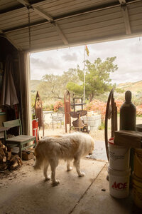 central-coast-santa-maria=pottery-ranch-03
