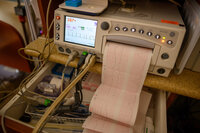 Shallenberger Birth full size-10