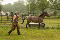 new-jersey-equestrian-riding-06