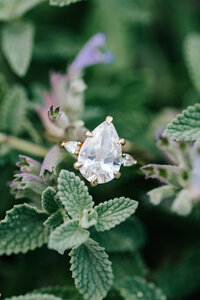 JennEngagement-267