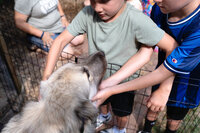 Homestead Montessori School Edited-59