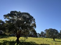 IMG_1852
