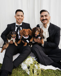 Couple in black wedding attire holding their three dachshunds during a joyful wedding portrait captured by a San Antonio wedding photographer.