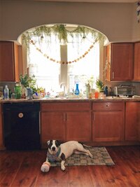 central-illinois-photographer-12