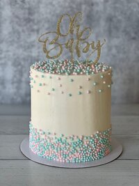 gender-announcement-sprinkle-utah-birthday-cake