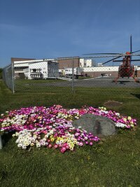 IMG_0621