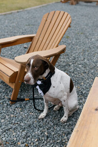 KVDPhotography-FraserRiverLodgeWedding-21361_websize