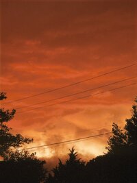 central-illinois-photographer-44