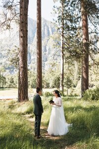 Yosemite-All-Inclusive-Elopement-by-Samantha-Josette-36