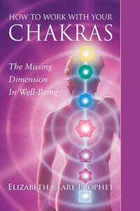 Your Chakras the missing dimension is well being