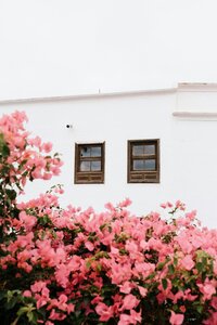 pexels-matreding-28271611
