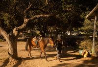 arroyo-grande-equestrian-center-1