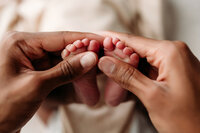 memphis newborn photography by jen howell 200