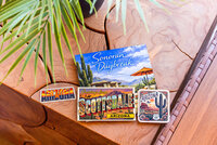 Daytime_Backyard31_websize