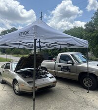 IMG_8598