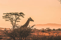 In Flow Design Co Travel Photography-207