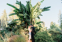 Couple posing during engagement photos under palm tree.