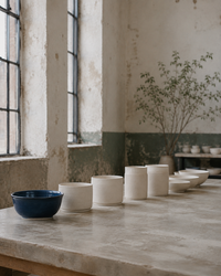 Cedar Studio 19
