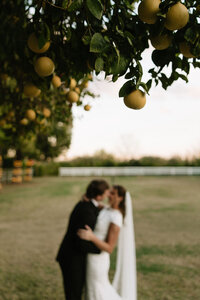 A&Bbridals-257