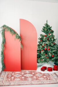 CSS Christmas 263