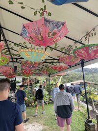 IMG_3467