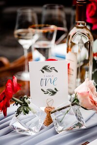Ivory-Door-Studio-Arrington-Vineyards-Wedding-0058