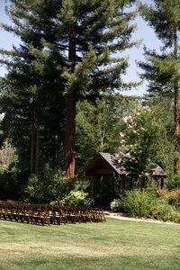 NV(24of853)