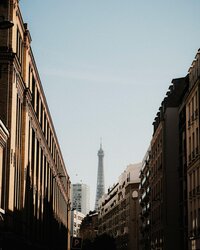 pexels-matreding-12519379