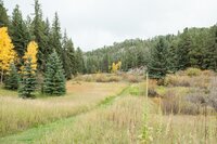 denver-wedding-photographer-293