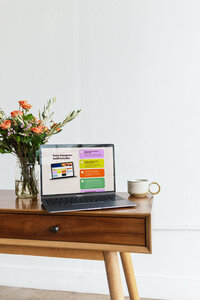 Bold Showit website design for a social media management agency and content strategist.