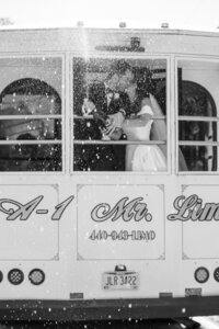 Cleveland Ohio Wedding Photographer - Courtney Paige Photography-57