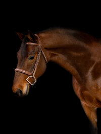 Holly Marie Photography-19