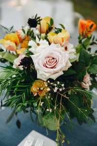 Will and Cameron wedding ceremony at Cheekwood Botanical Garden Nashville — Weddings & Events by Raina