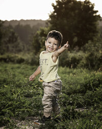 TLP_6101 copy