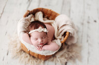 memphis newborn photography by jen howell 193