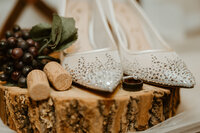 lehigh_valley_photgrapher-3