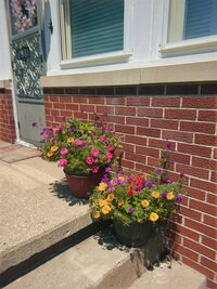 central-illinois-photographer-58