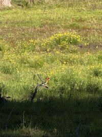 IMG_1872