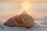 IMG_3302-Edit-4
