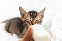 getty-images-hWkYLU3lIqs-unsplash