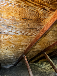 Attic after professional mold remediation and treatment