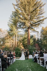 untitled-330