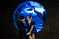 3-DALLAS-FORT-WORTH-engagement-wedding-photographer-dallas-world-aquarium-