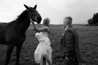 Bride and groom with a horse at a stable wedding venue, black and white wedding photography